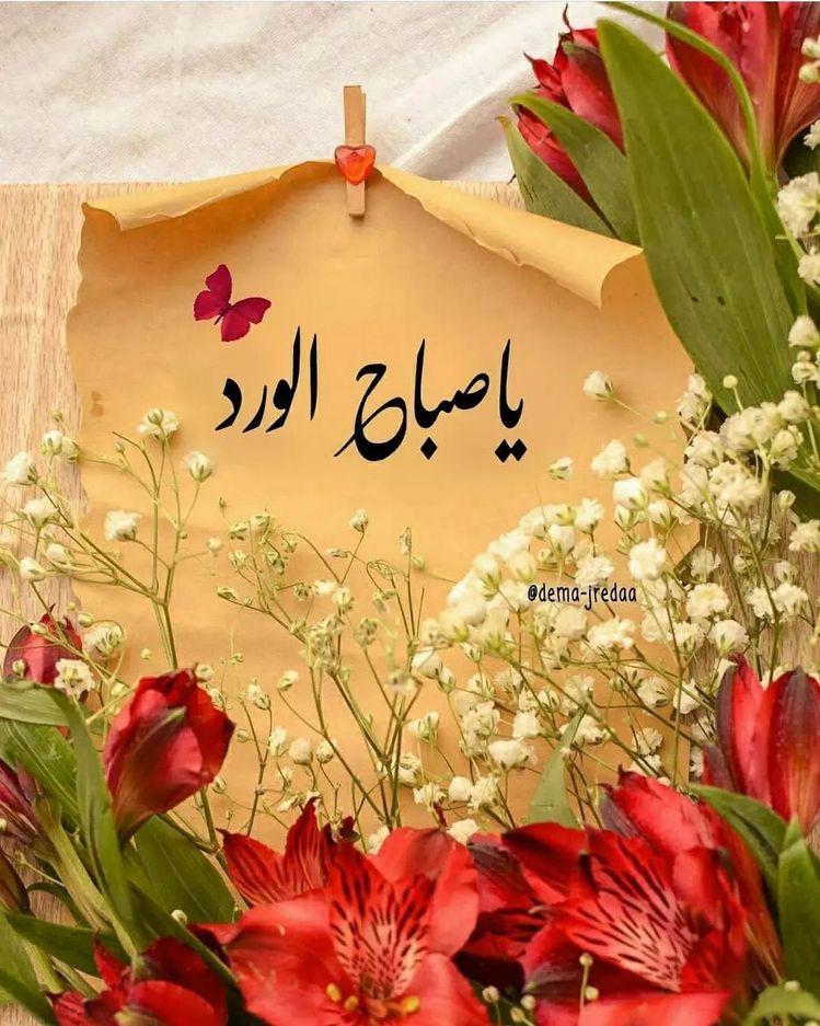 KachakechI's tweet photo. *💧عطر الصباح💧*
*🌹نهاركم سعيد🌹*

*كل شيئ في حياتنا له حكمة فلولا وجوه ��لسيئين ما عرفنا قيمة الرائعين*.

*Tout dans notre vie a de la sagesse, sans les mauvais visages, nous n’aurions pas connus la valeur des merveilleux*

*🌻صباح الرائعين🌻*

*🇱🇧صوت لبنان الإغترابي🇱🇧* https://t.co/N7Ex1qludO