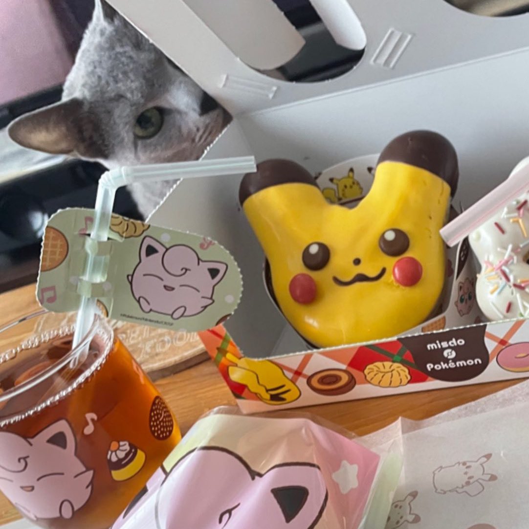 mocotancat's tweet photo. 我が家のポケモンも映り込みました🐱
#pokemon 
#ミスド #misterdonut 
#ポケモンドーナツ 
#ロシアンブルー  #猫のいる生活 #猫好きさんと繋がりたい #mocotancat #ねこすたぐらむ
#russianblue  #cat #cats https://t.co/v7QwBBfL4D