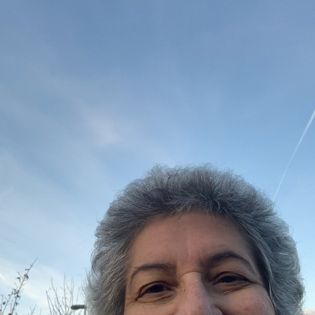 Work_2_Smart's tweet image. J'ai passé 10 jours merveilleux au Liban où je me suis rendue pour remercier St Charbel de m'avoir guéri. Ma soeur Monique, Rose et Christel nous ont accompagné. instagr.am/p/ClIwolgIchN/