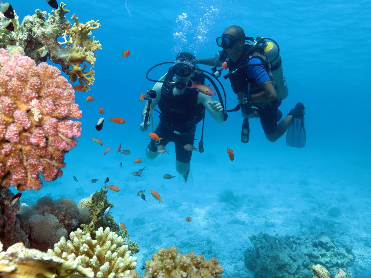Шарм-Эль-Шейх Diving