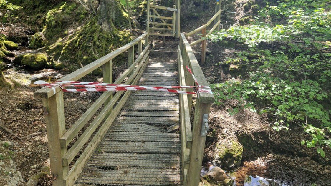 This new footbridge on the southern section of the Llyn Tegid circular walk looks great🤩! A big thank you to our footpath team for their fantastic work👏!