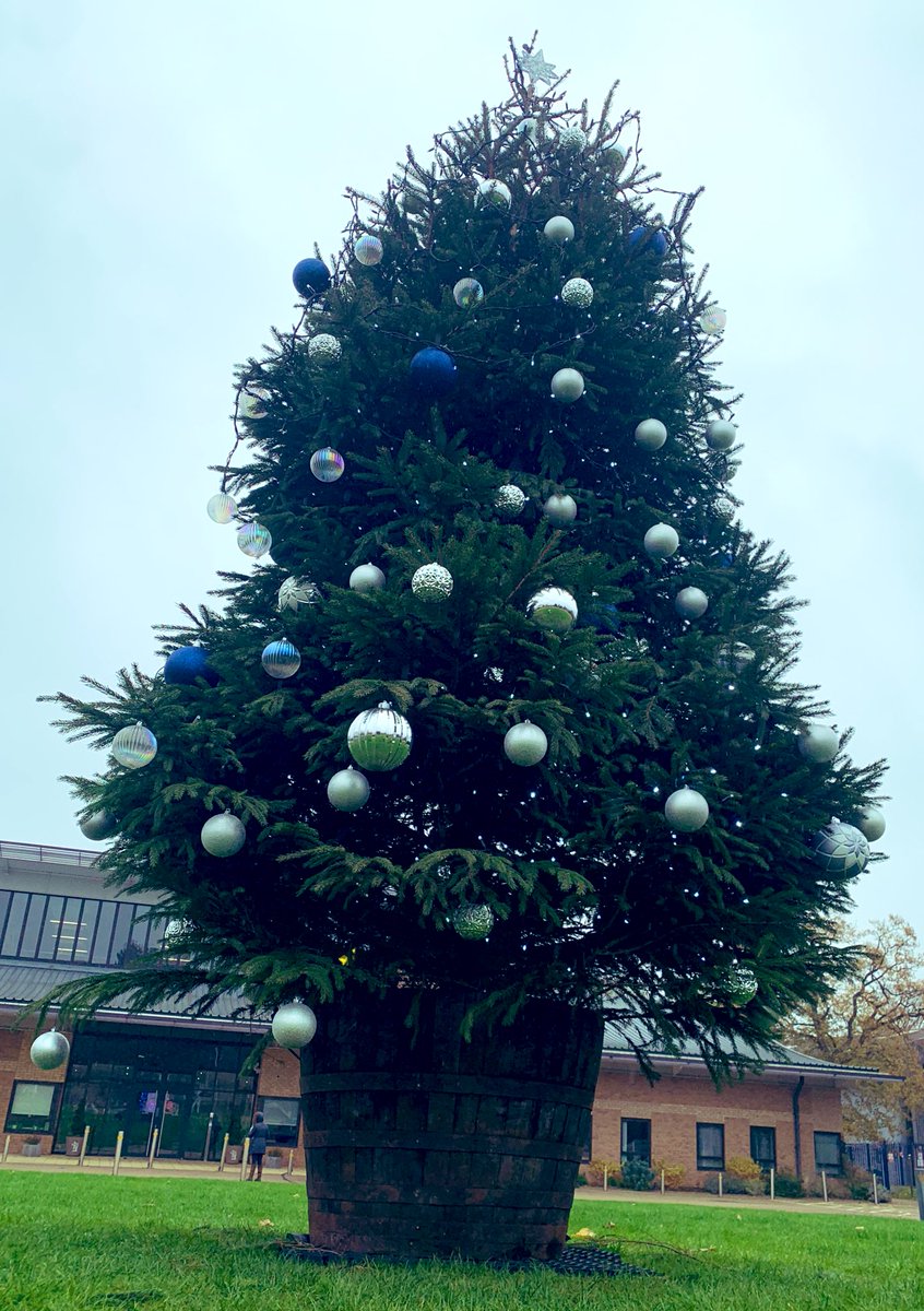 LaxtonJunior's tweet image. As we look ahead to celebrating the festive period with our community, we could not be more thrilled with our fantastic Christmas tree and car park decorations, courtesy of the ever-wonderful LJS Parents’ and Friends’ Association! #WeareLJS