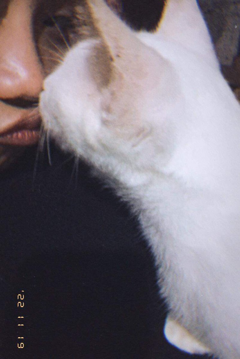 MayManjares's tweet photo. My baby knows how to comfort me 🥺 https://t.co/yg9Y02S8jo