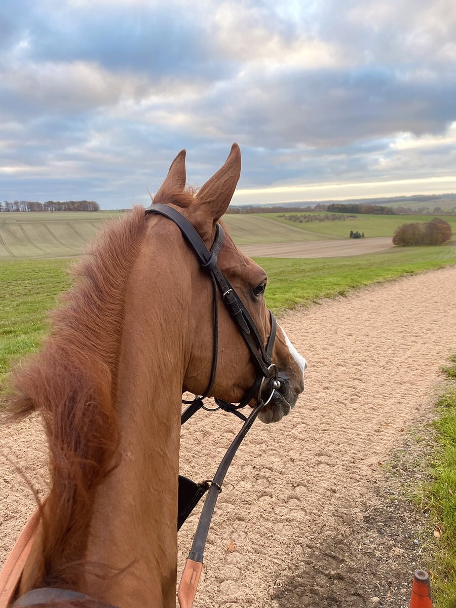 HMRyan89's tweet image. Not a bad way to start the day 🧡 #issuingauthority