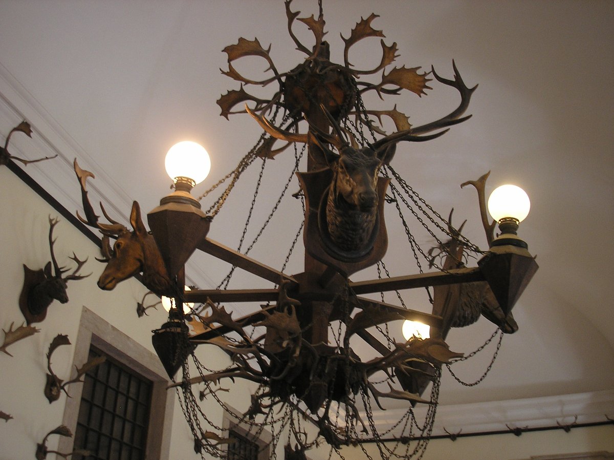 Mafra（マフラ）: 美しい図書室がある町

Mafra（マフラ）にはリスボンのカンポ・グランデからバスに乗れば、１時間ほどでたどり着けます。鉄道のMafra駅は観光地からかけ離れた場所にあるので列車では訪れないように注意してください。

nanban-info-portugal.com/turismo/cidades

#ポルトガル #旅行 #写真 #観光地