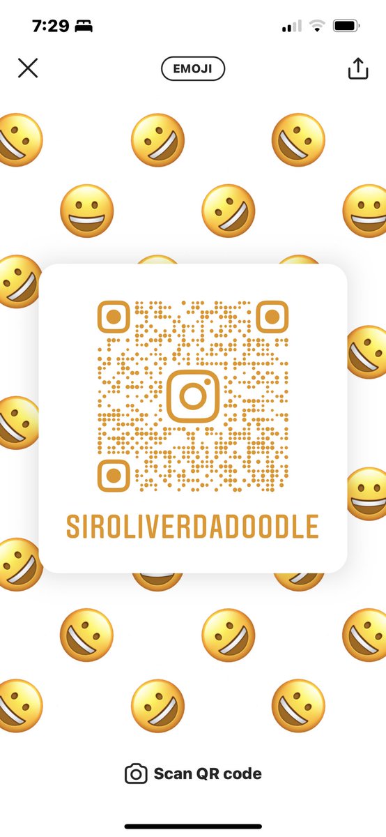 Please follow @siroliverdadoodle and me on Instagram! Here are our tags and QR codes! 🙏🙏🙏