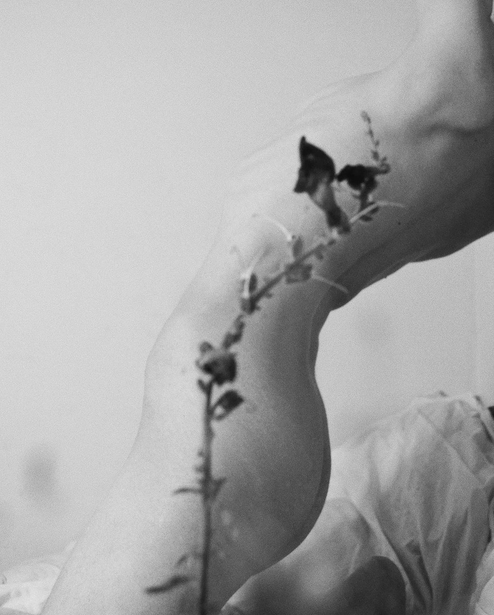 carolinamaez's tweet photo. #selfportrait 🌷 https://t.co/5XVNHjr7Lc