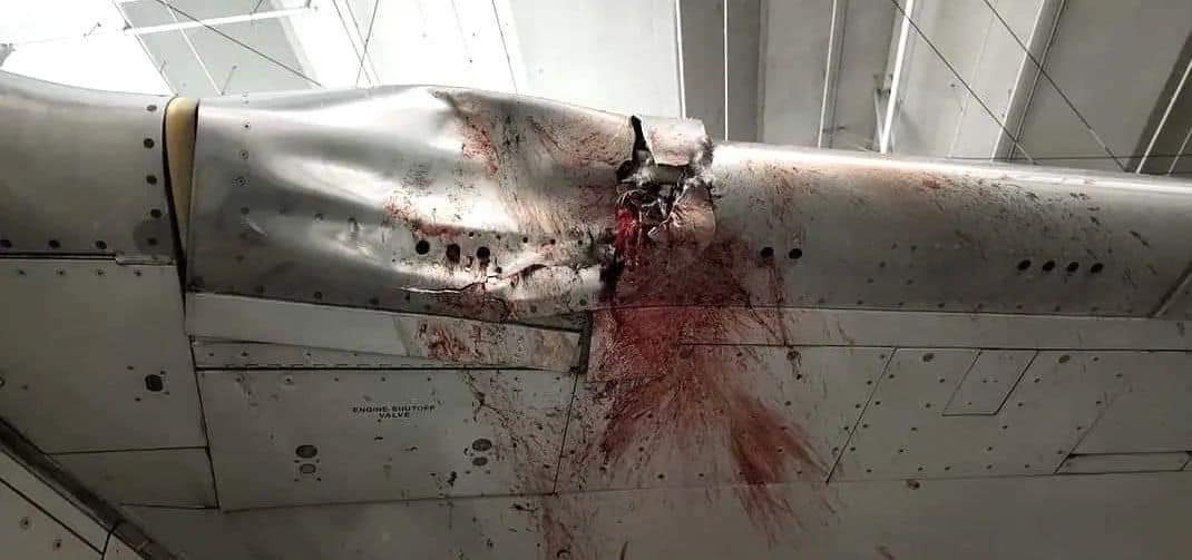 AviaExtreme's tweet photo. #AmericanAirlines 737-800  as #N846NN performing 1855 from Chicago O'Hare to Kansas City on Nov 15th 2022. 
On approach to Kansas City the crew declared emergency reporting they had received a bird strike and had lost their airspeed indicators. 
The pilots landed safely. https://t.co/wlxElplXDj