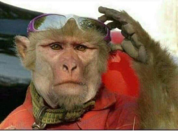 GiftMasopa's tweet photo. @sikholiwe_ Susa phela 😲 https://t.co/IKRFi3MgyO