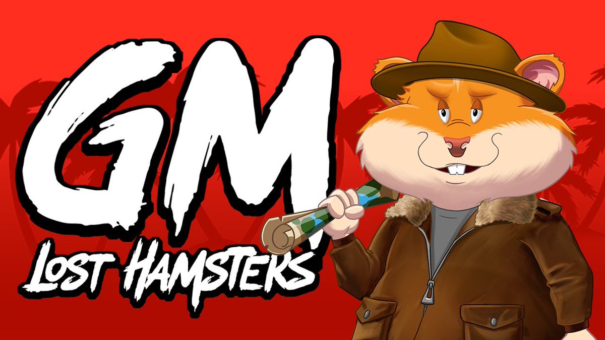 Lost Hamsters (@losthamsters) on Twitter photo 