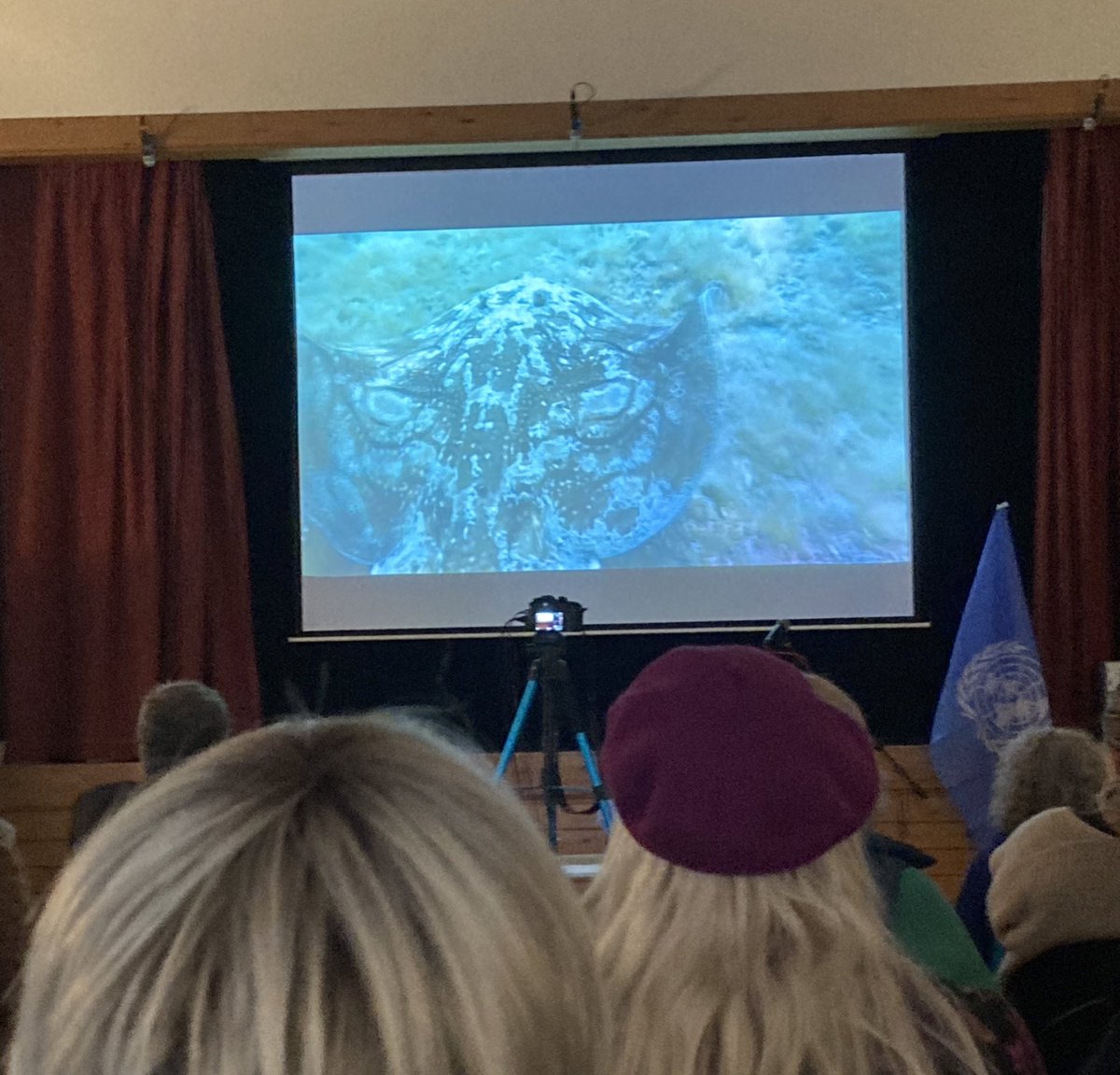 #oceansymposium everyone wowed with footage from #sussexunderwater and so much hope and positivity for our Sussex seas. Well done United Nations Association <a href="/SussexWildlife/">Sussex Wildlife Trust 🦔</a> <a href="/SussexUni/">University of Sussex</a> @BDP_WCA #helpourkelp and more.
