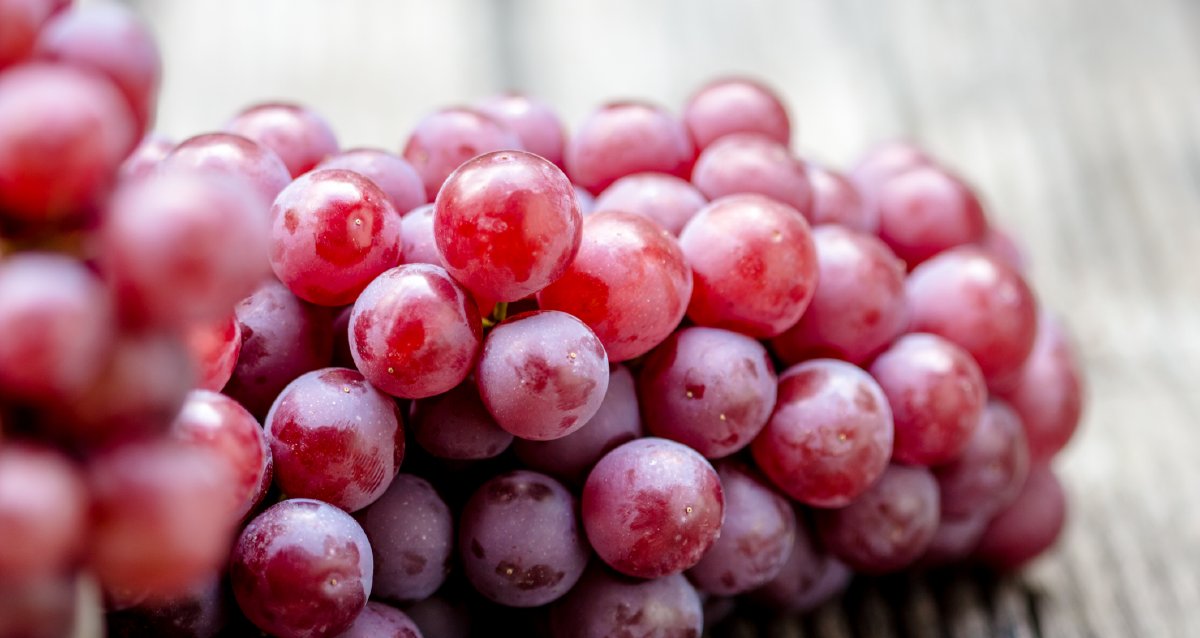 Grapes are a good source of potassium. This mineral can help bring down high blood pressure and lower your risk of heart disease and stroke! 🍇 wb.md/3GpyJmA