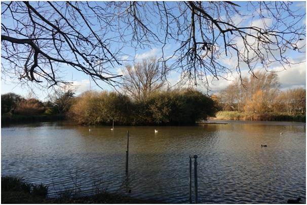 Some gorgeous winter sunshine at The Duck Pond, captured recently by Selsey's Branch Manager whilst out and about on appointments #lovewhereyoulive #selseyviews