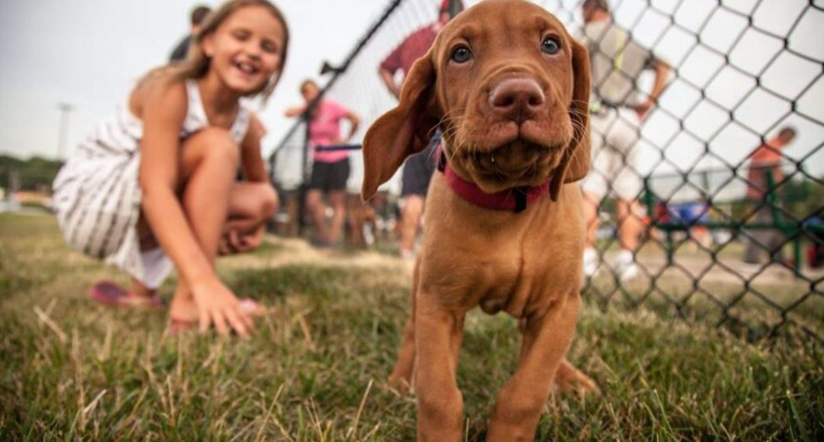 Beardmore Freedom Dog Park is a place to have fun, run free and make a ton of new friends. Our dog park is open to our customers and the public. Plus, it's a great excuse to visit when you are waiting for your vehicle to be serviced!