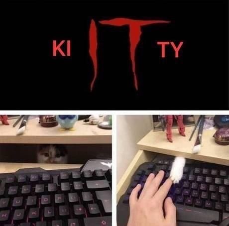 BreakTheSec's tweet photo. k"IT"ty working in IT
via @WholesomeMeme https://t.co/cD8n5LTmiM