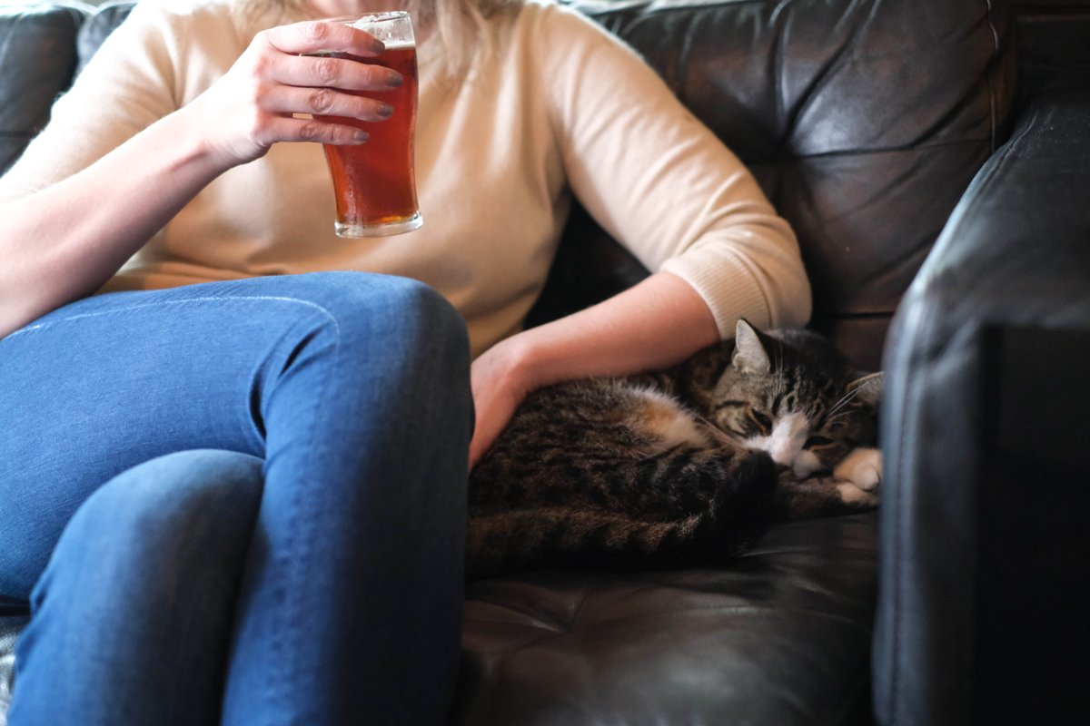 Seventh Son Brewing (@seventhsonbrew) on Twitter photo Another lazy Caturday. Come get cozy with us. Another lazy Caturday. Come get cozy with us.