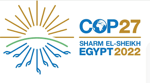#COP27 #cop27egypt non è ancora chiusa. Ecco cosa sta succedendo giornalistinellerba.it/cop27-le-ultim…