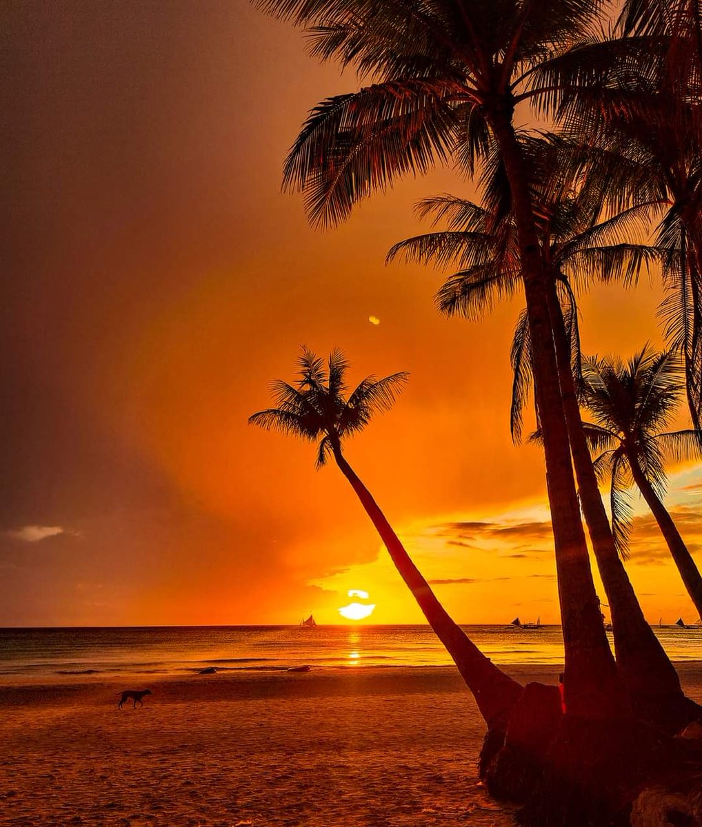 BeranaVelez's tweet photo. How any of you love watching the sunset? #sunset #boracay #Philippines https://t.co/i1u1YaEHiX