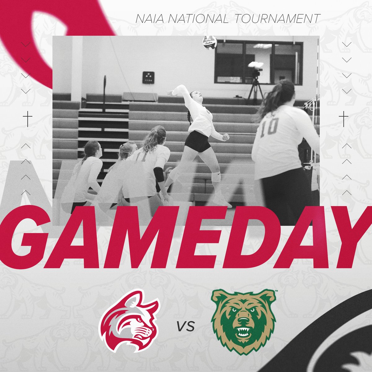 🏐Postseason Game Day🏐

The Wildcats hit the court tonight in the NAIA National Championship Opening Round!

No. 18 <a href="/IWUVBall/">Indiana Wesleyan Volleyball</a>🆚 Rocky Mountain College
🏆 NAIA Opening Round
⏰ 5:00 p.m.
📍Marion, Ind.
📺 bit.ly/3Ap7iWb
📈 bit.ly/3V7R2AK

#BattleForTheRedBanner