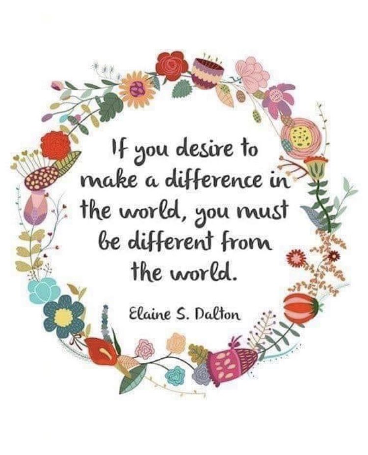 Dawn Creasey tweet media