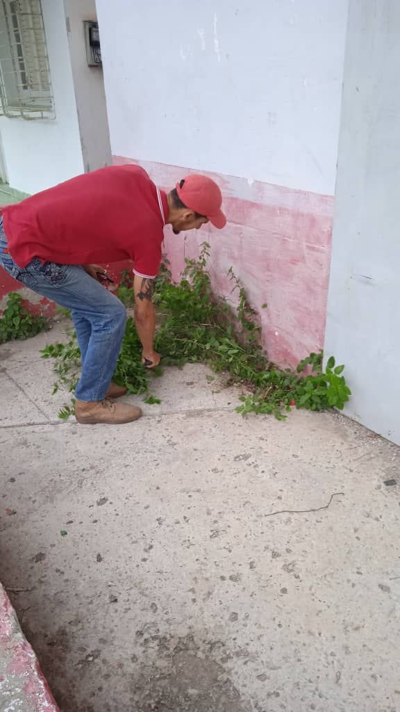 CopextelPlaza's tweet photo. Dia de la Defensa en Copextel Filial Plaza. Desde horas tempranas en los almacenes del Reparto Mañana en Guanabacoa se acometen labores de limpieza. #Copextel #CubaVa #MejorSinBloqueo https://t.co/FPR7uB7yHT