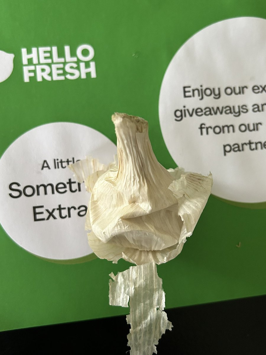 Sarah Holt tweet media