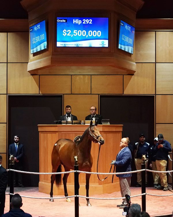 test Twitter Media - We start thinking about the November sales in June. It’s starts with recruitment. Our 5 member core team worked tirelessly promoting/executing on behalf of our clients. 83/88 sold for $18,031,000 @FasigTiptonCo @keenelandsales. 3 🔑 : Provide information, teamwork, transparency. https://t.co/pPjSFlc7Kg