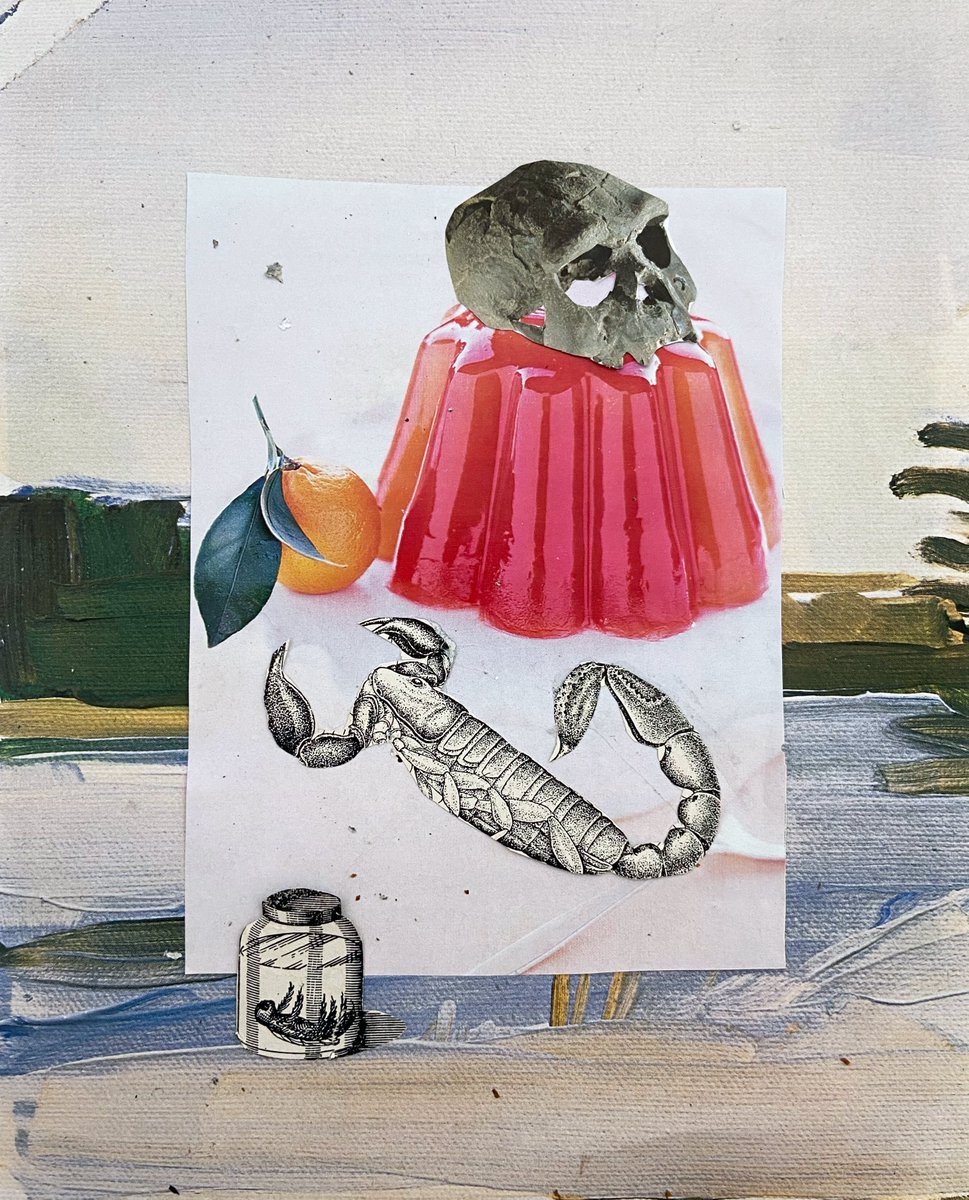 paper_misfits's tweet image. GM🍊🦂