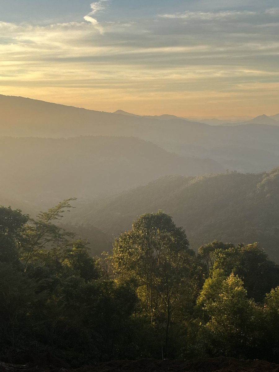 chiefxplorer's tweet photo. Mystical Mizoram #IncredibleIndia https://t.co/6YWRnwoYIx