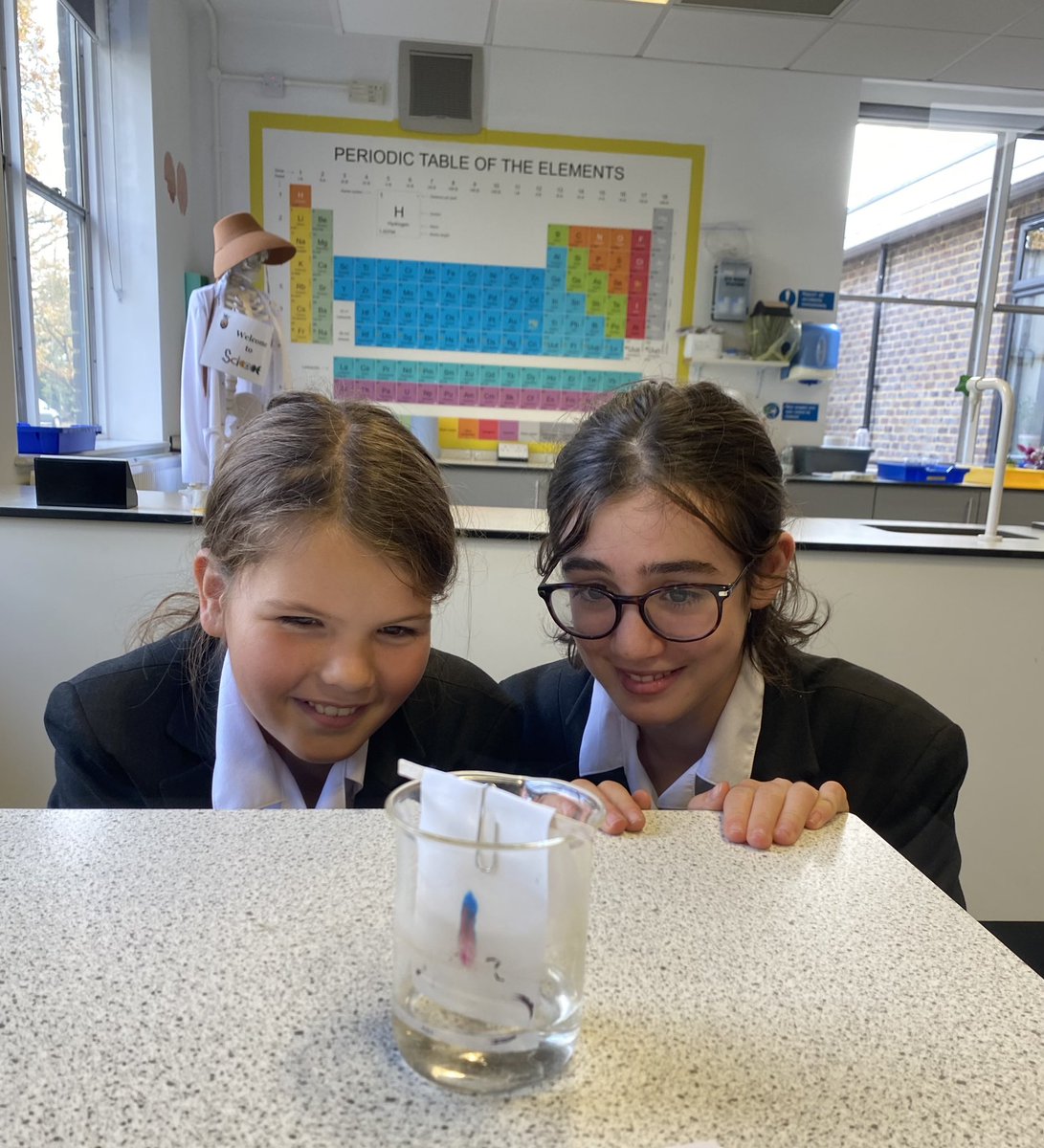 HolyportScience's tweet image. It was a very creative and colourful few lessons in the labs last week 🎨🫁

- Year 8 making model lungs to learn about the respiratory system 

- Year 7 experimenting with chromatography to learn about techniques of separating a mixture 

#creativityinscience