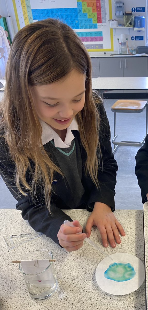 HolyportScience's tweet image. It was a very creative and colourful few lessons in the labs last week 🎨🫁

- Year 8 making model lungs to learn about the respiratory system 

- Year 7 experimenting with chromatography to learn about techniques of separating a mixture 

#creativityinscience