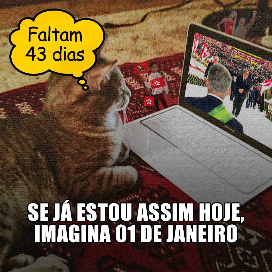 Estava obcecado, passava 80% do meu tempo falando sobre a posse do presidente Lula, e nos outros 20% eu torcia pra que alguém falasse sobre pra eu poder falar mais. 🚩⭐🇧🇷