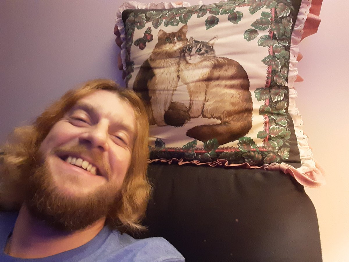 Mitchellreel's tweet image. It's all about the #CatPillow tonight! 🤣😝