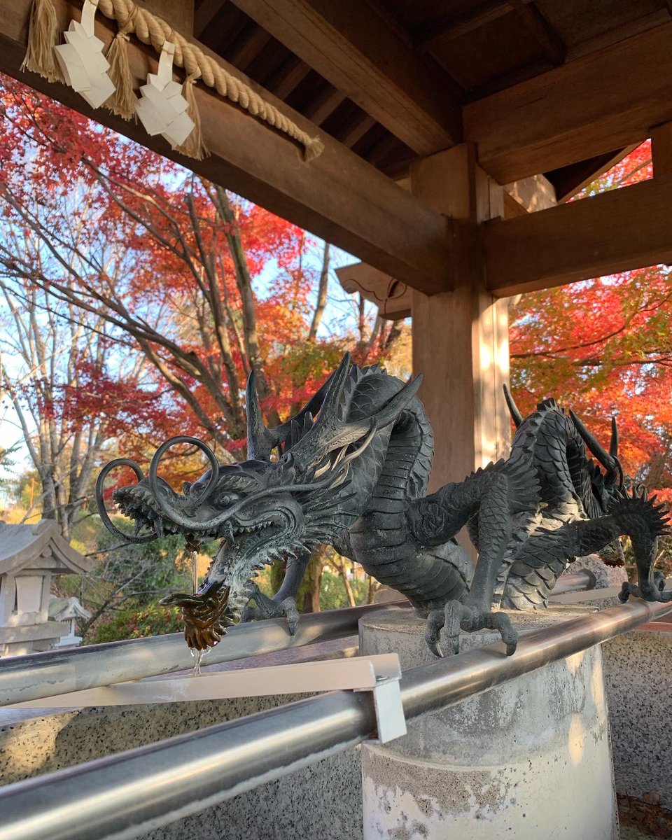SHINGO龍 金運龍如爆上 龍守り 玉置神社-