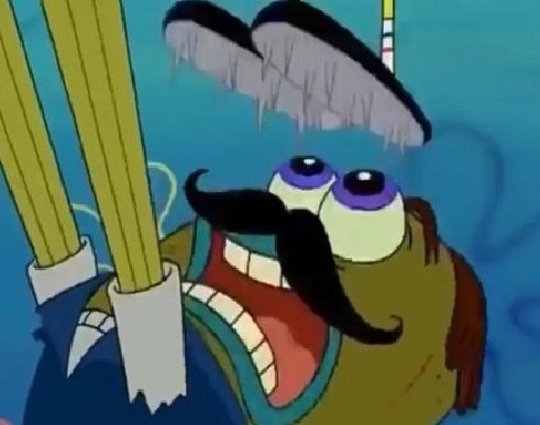 🍂🦉🪳Bugs 🦗 🏳️‍🌈💊 tweet media