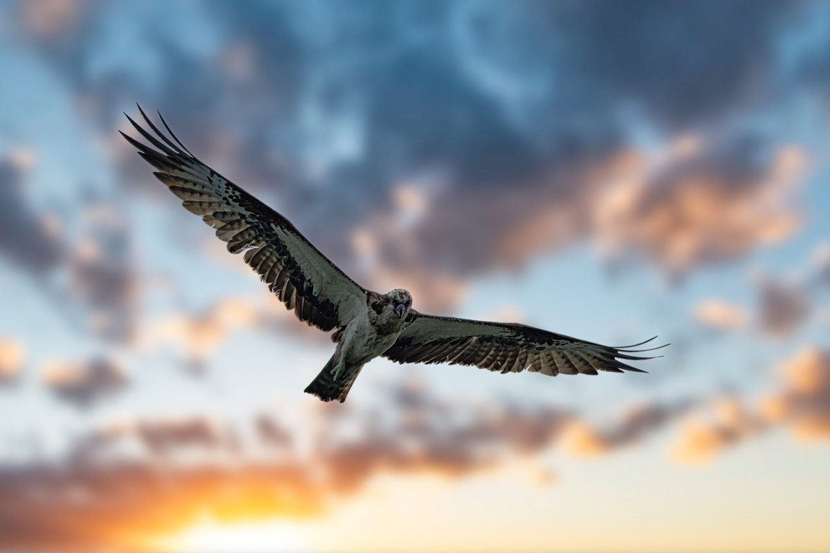 #madewithluminar 
#ルミナーと作るわたしの世界
#福山フォトコミュニティ
あ、明日も大変そうなんやけど…
初めてやな大変三連続…