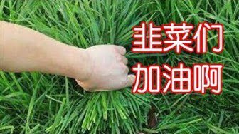 doubleDdoublee's tweet photo. 你想当一辈子的韭菜还是一天的英雄？明晚0点开多chz！ https://t.co/LfGt5AHRSj