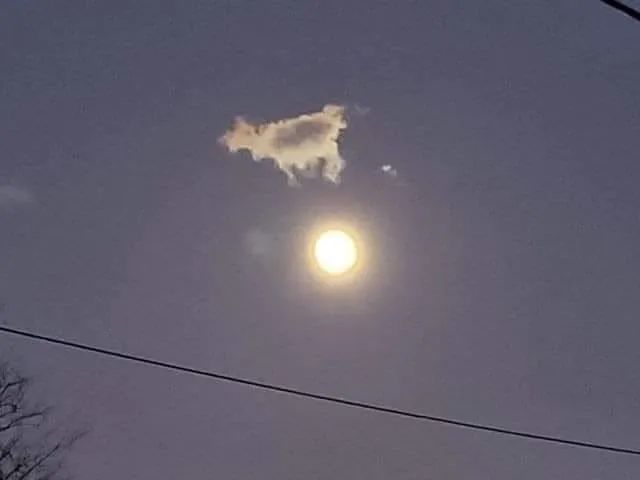 cbull65's tweet photo. Finally the cow has jumped over the moon https://t.co/6YXY34sgS0