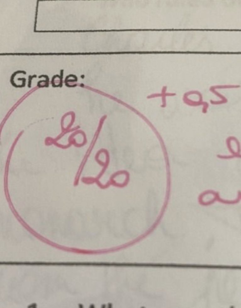 sunshinexguava's tweet image. effort won&apos;t betray you.