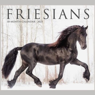 dbkrause00's tweet photo. Friesians 2023 Wall Calendar.
https://t.co/Vdpw2OsrNI https://t.co/3dDkOXNcLJ