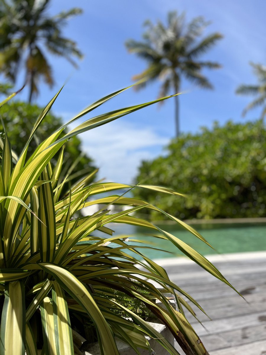 Abtauchen ist erholsam. #holiday