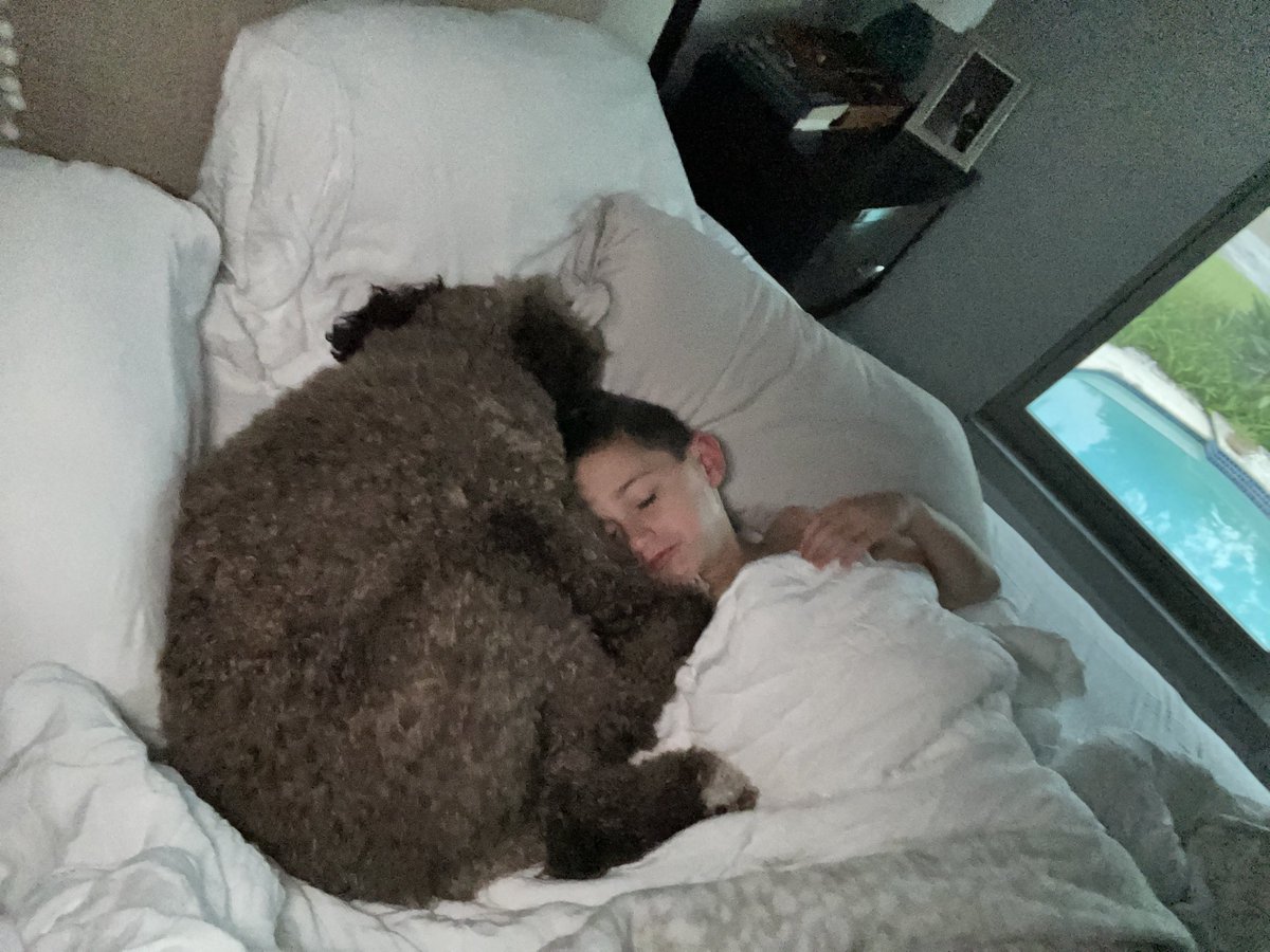 KatieLaGrone's tweet photo. The local meteorologists called it a snuggle alert night. Found these two adhering...in my bed! #snugglealert @DenisPhillipsWx #coldfront @abcactionnews @paullagrone https://t.co/VEaqJJfD9E