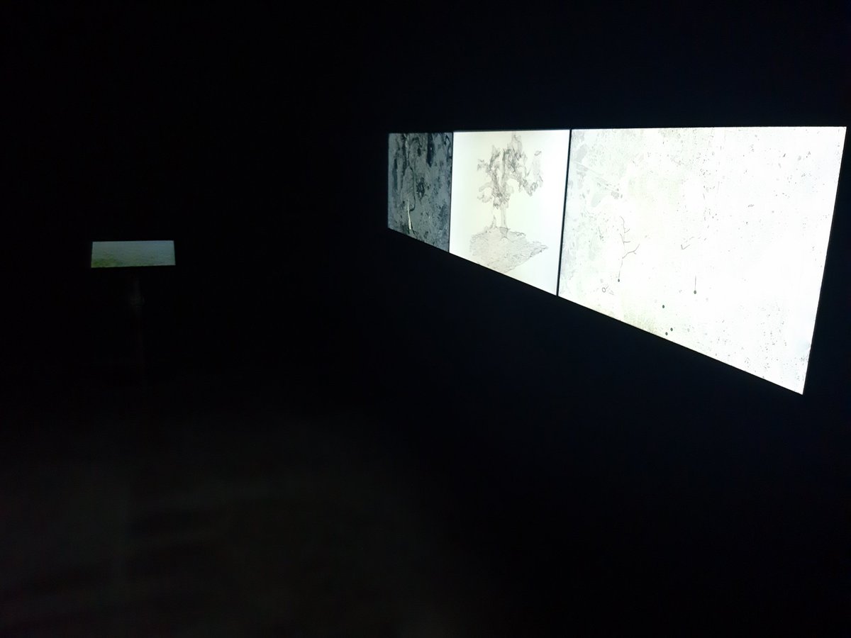 City Interaction lab tweet media