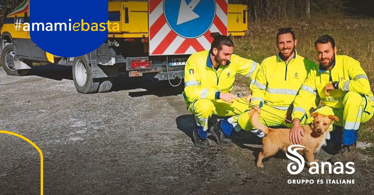StradeAnas's tweet photo. La scorsa settimana, durante il consueto turno di lavoro lungo le #stradeanas del #Piemonte, i #cantonieri della squadra #Anas di Cuneo hanno salvato un cucciolo abbandonato sulla #SS20 “del Colle Tenda e di Valle Roja”.
#amamiebasta https://t.co/OaqsoivfYI