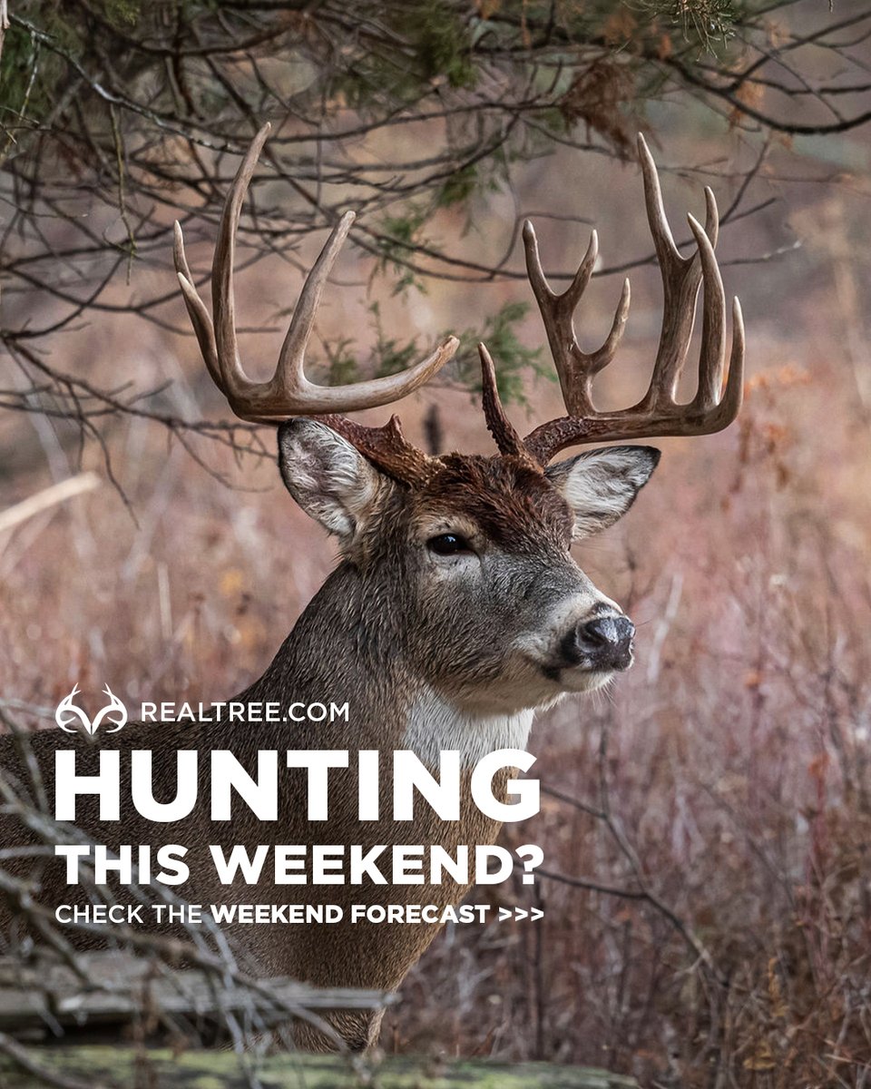 Realtree (@Realtree) / Twitter