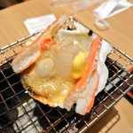 ニゴリン(NEXT→JAPAN TOUR)のツイート画像