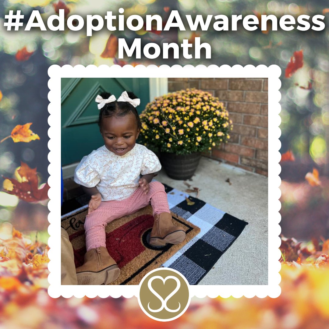 Sacred Selections tweet media