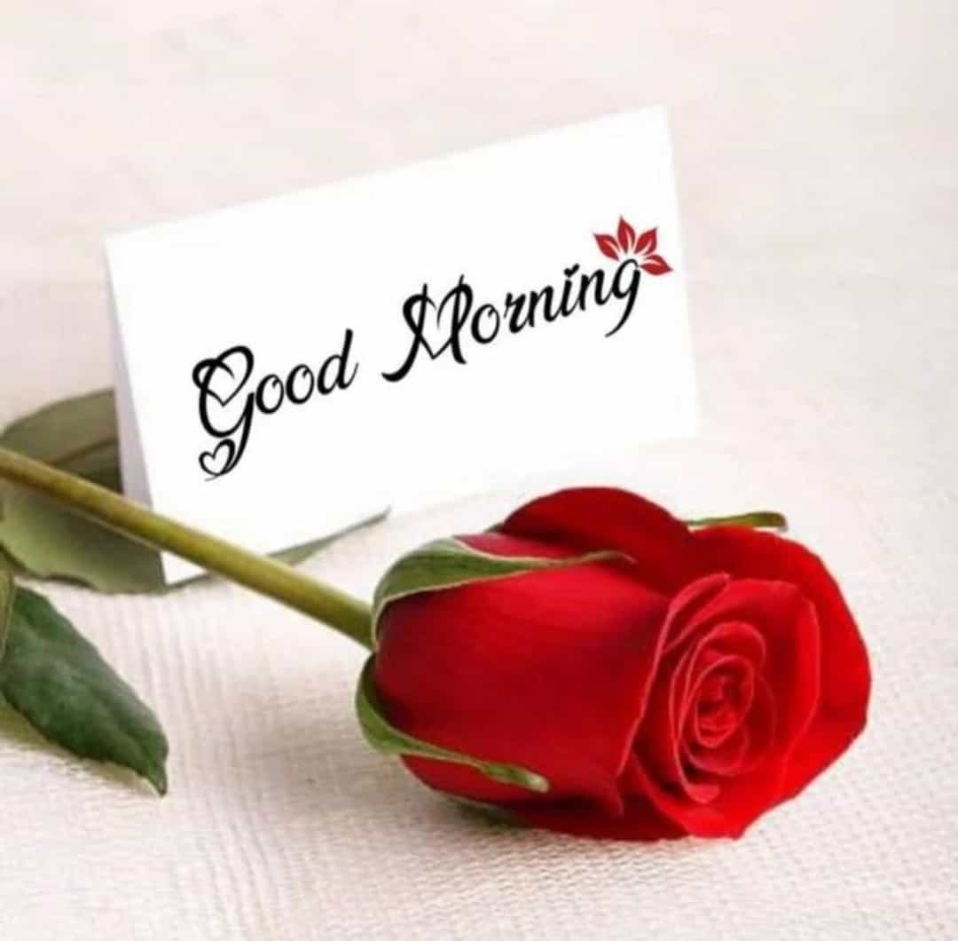 Mario52815833's tweet photo. @2018Asiax https://t.co/drKzfJK1nt