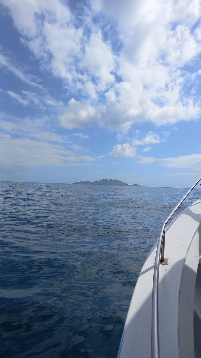 carlinhostreino's tweet photo. Indo para o escritório. Ilha do Arvoredo SC Brasil
#planetamergulho #openwater #mergulho #cursodemergulho #padibr #natureza #mergulhoportoalegre #mergulhadores #mergulhadoras #amigosdomergulho #ilhadoarvoredo #florianopolis #florianopolissc
#scubadiver #scubadiving #padi https://t.co/rf42GhVvsB