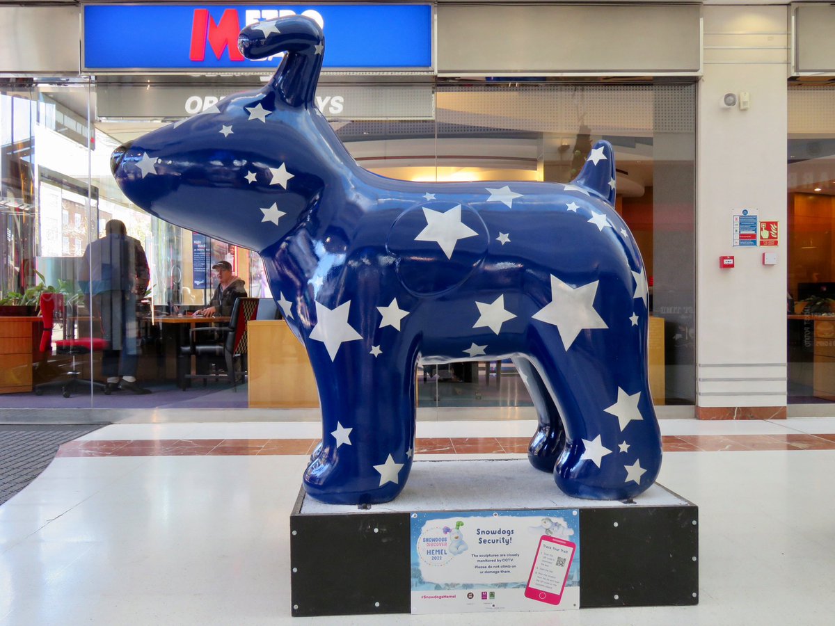 Dave: The Steel City Snapper tweet media